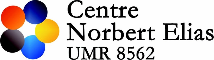 Résultat de recherche d'images pour "centre norbert elias"